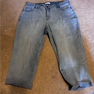 Lane Bryant Light Blue Denim Jeans